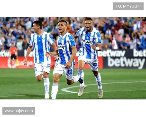 阿拉维斯足球俱乐部的历史沿革与未来发展展望分析